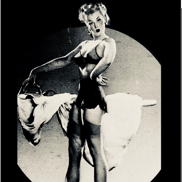 Meet your Posher, Natasha - Picture 2 of 3